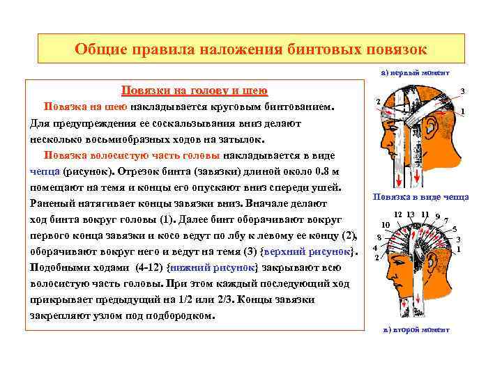 Общие правила наложения бинтовых повязок а) первый момент Повязки на голову и шею Повязка