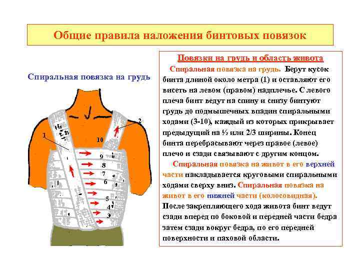 Общие правила наложения бинтовых повязок Повязки на грудь и область живота Спиральная повязка на