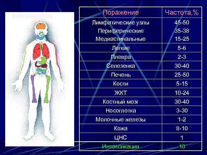 Поражение Частота, % Лимфатические узлы Периферические Медиастинальные 45 -50 35 -38 15 -25 Легкие