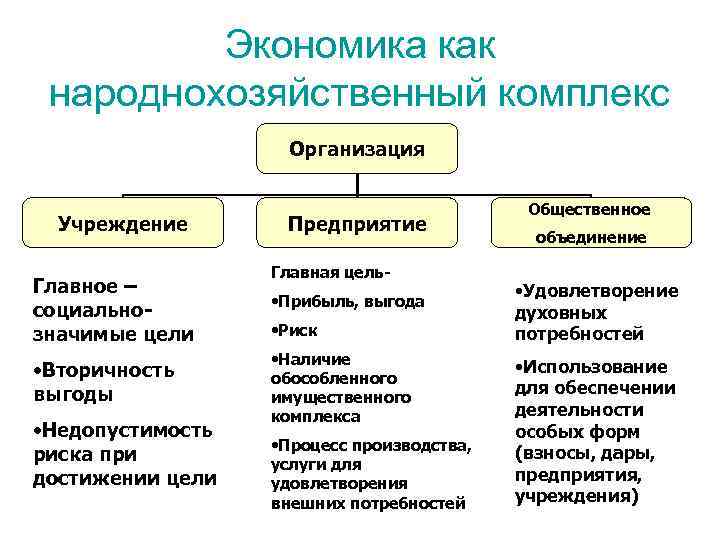Экономика как народнохозяйственный комплекс Организация Учреждение Главное – социальнозначимые цели • Вторичность выгоды •