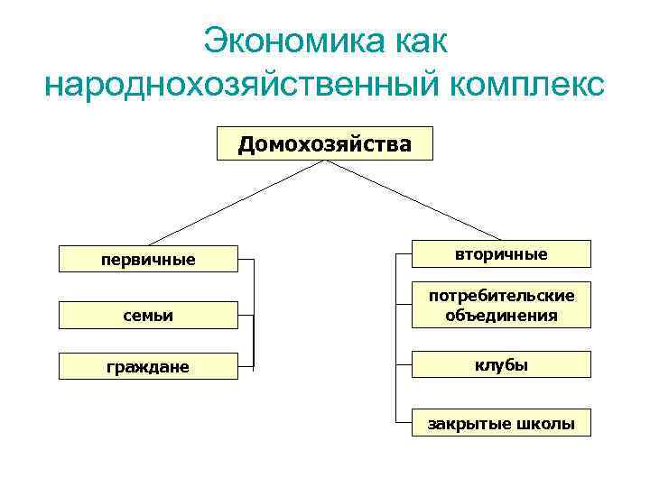 Экономика как народнохозяйственный комплекс Домохозяйства первичные вторичные семьи потребительские объединения граждане клубы закрытые школы