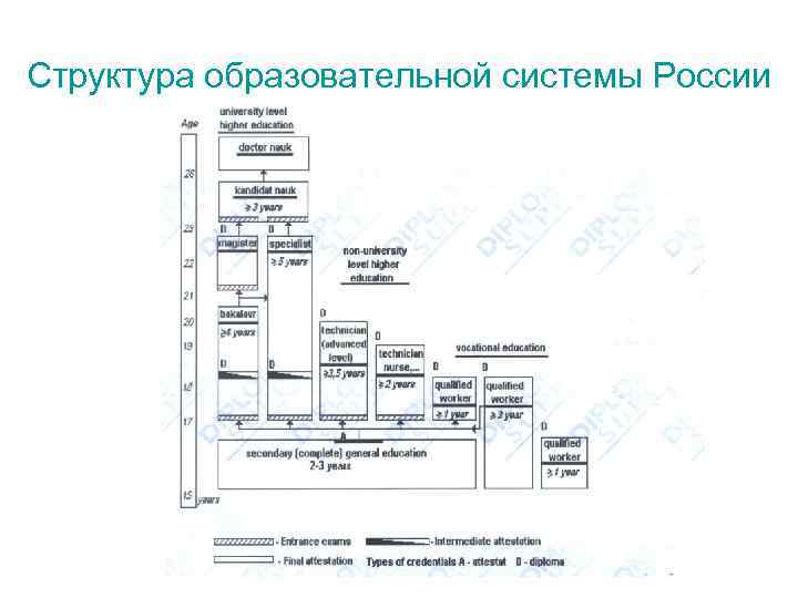 Структура образовательной системы России 