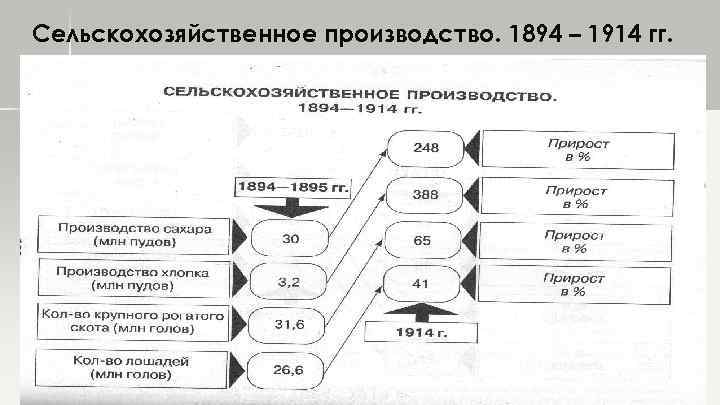 Сельскохозяйственное производство. 1894 – 1914 гг. 