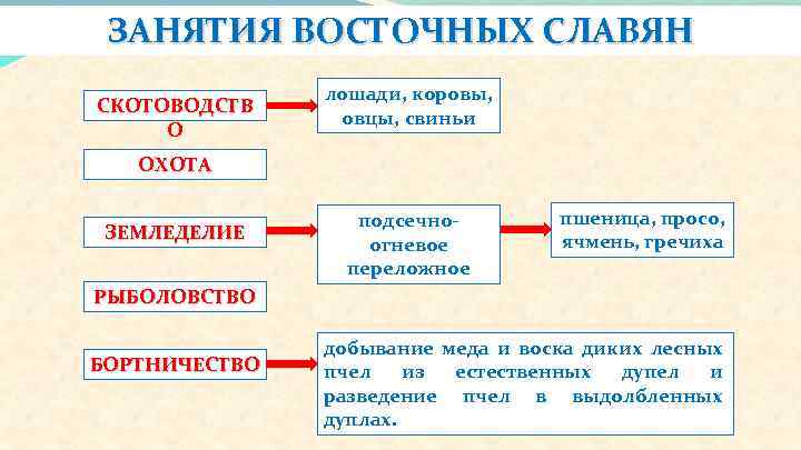 ЗАНЯТИЯ ВОСТОЧНЫХ СЛАВЯН СКОТОВОДСТВ О лошади, коровы, овцы, свиньи ОХОТА ЗЕМЛЕДЕЛИЕ подсечноогневое переложное пшеница,