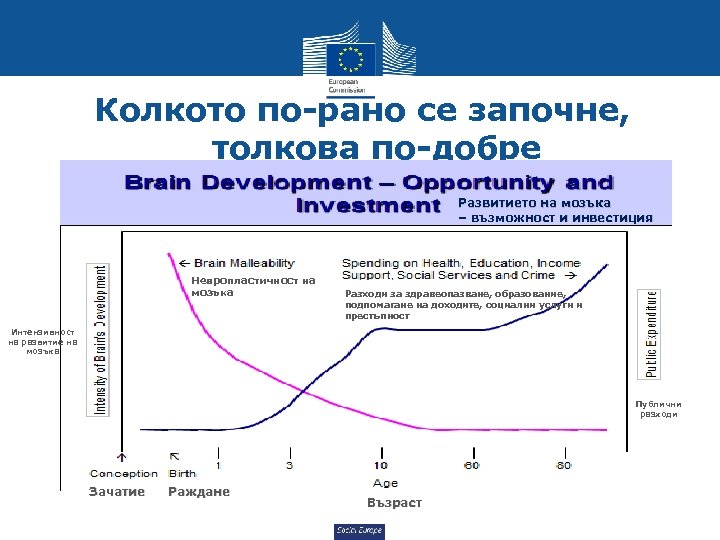 Колкото по-рано се започне, толкова по-добре Развитието на мозъка – възможност и инвестиция Невропластичност