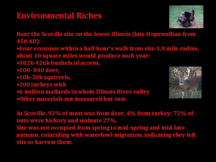 Environmental Riches Near the Scoville site on the lower Illinois (late Hopewellian from 450