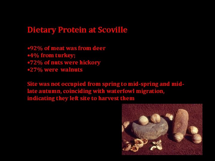Dietary Protein at Scoville • 92% of meat was from deer • 4% from