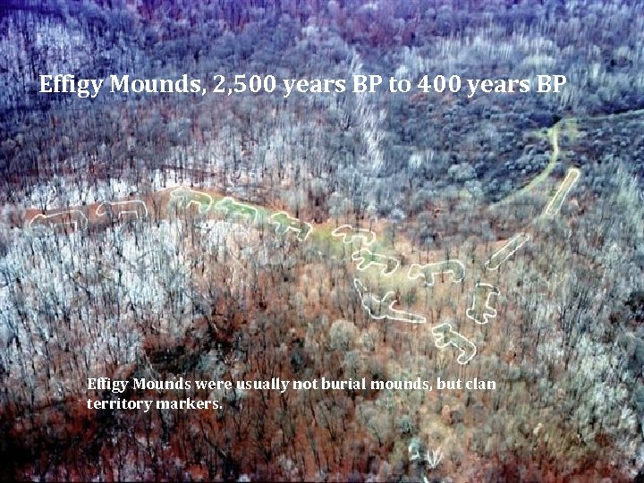 Effigy Mounds, 2, 500 years BP to 400 years BP Effigy Mounds were usually