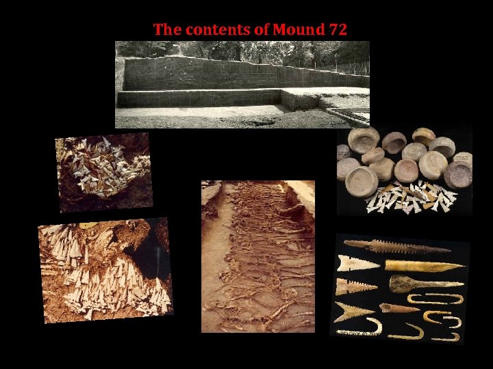 The contents of Mound 72 