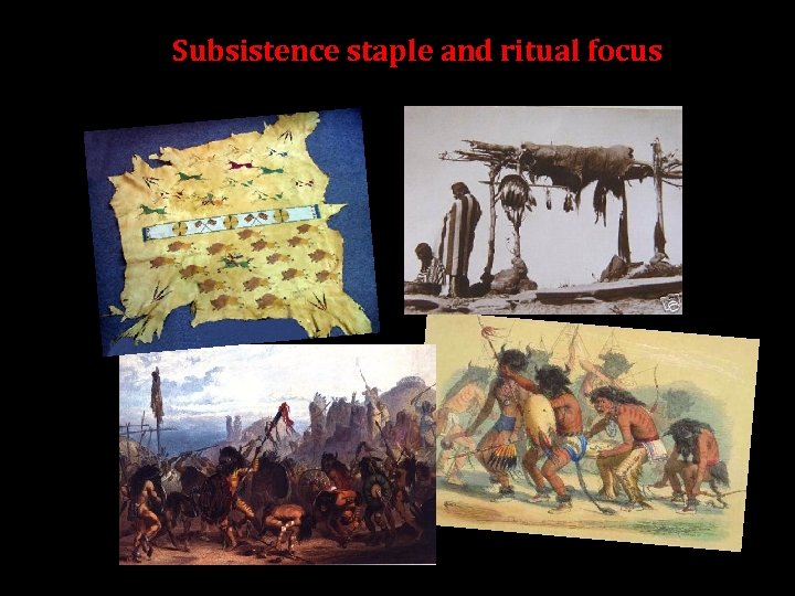 Subsistence staple and ritual focus 