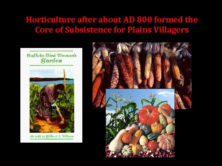 Horticulture after about AD 800 formed the Core of Subsistence for Plains Villagers 
