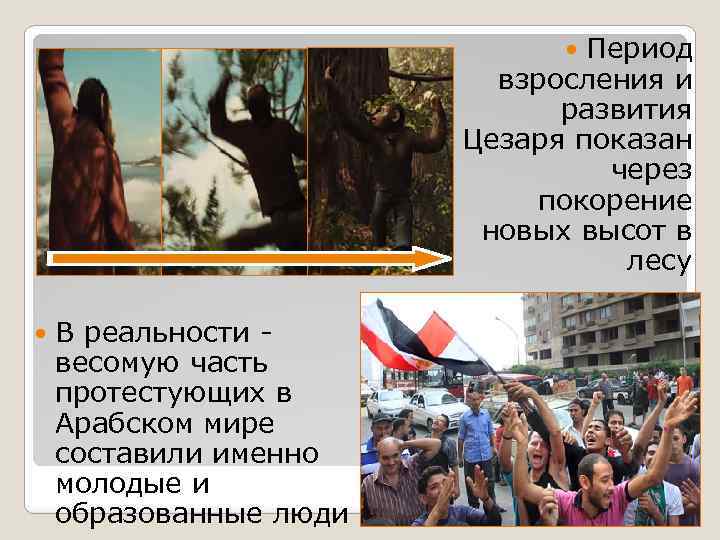 Период взросления и развития Цезаря показан через покорение новых высот в лесу В реальности