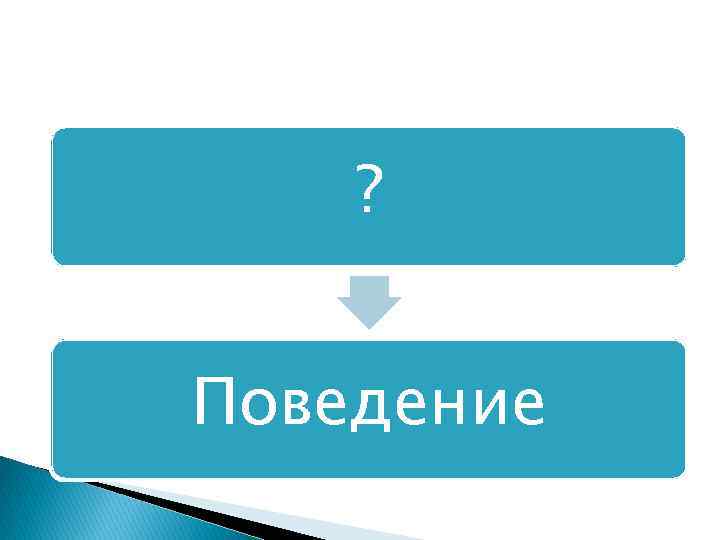 ? Поведение 