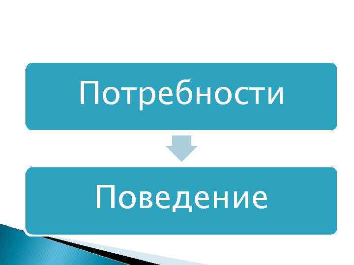 Потребности Поведение 