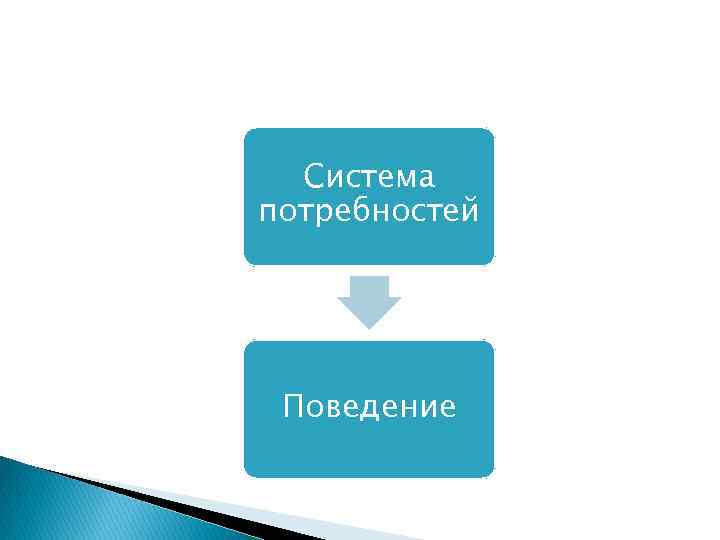 Система потребностей Поведение 
