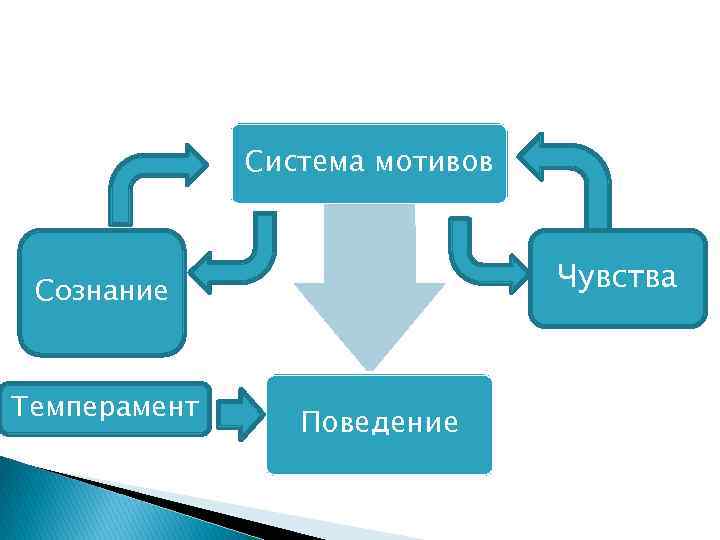 Система мотивов Чувства Сознание Темперамент Поведение 