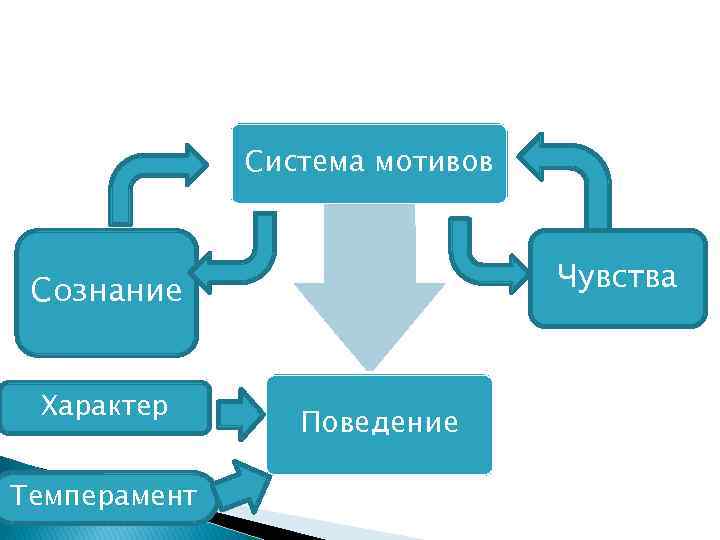 Система мотивов Чувства Сознание Характер Темперамент Поведение 