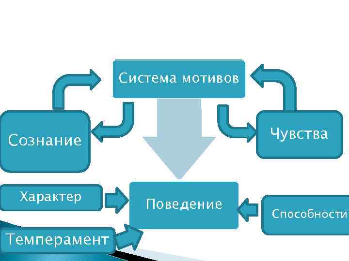 Система мотивов Чувства Сознание Характер Темперамент Поведение Способности 