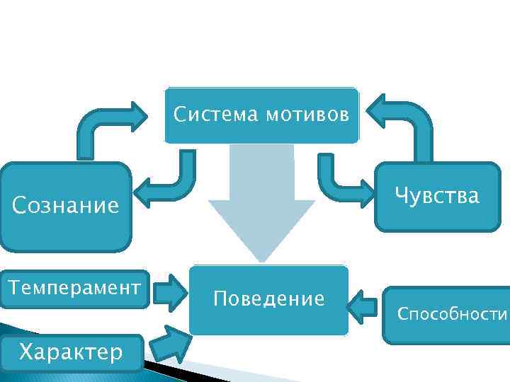 Система мотивов Чувства Сознание Темперамент Характер Поведение Способности 