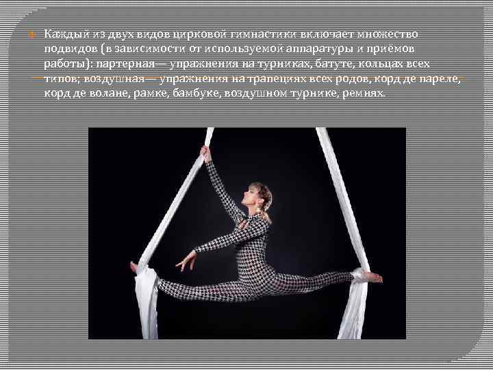  Каждый из двух видов цирковой гимнастики включает множество подвидов (в зависимости от используемой