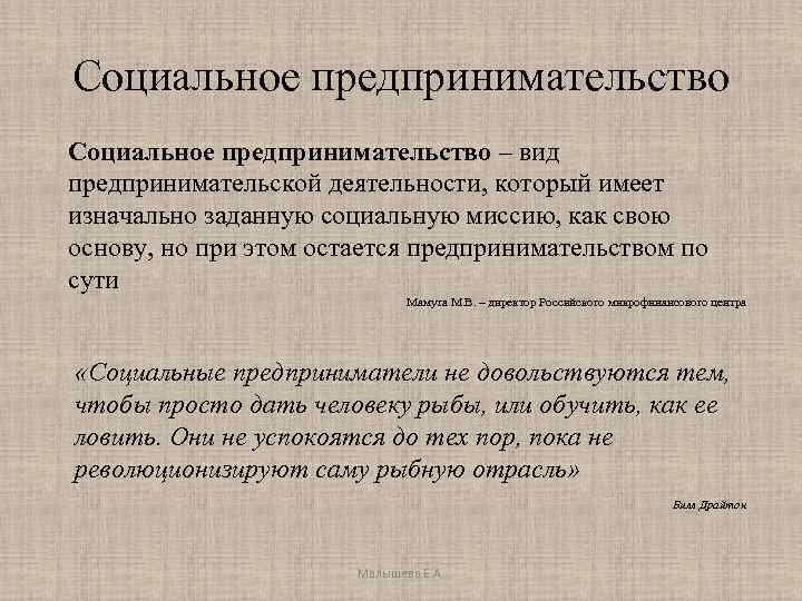 Социальное предпринимательство – вид предпринимательской деятельности, который имеет изначально заданную социальную миссию, как свою