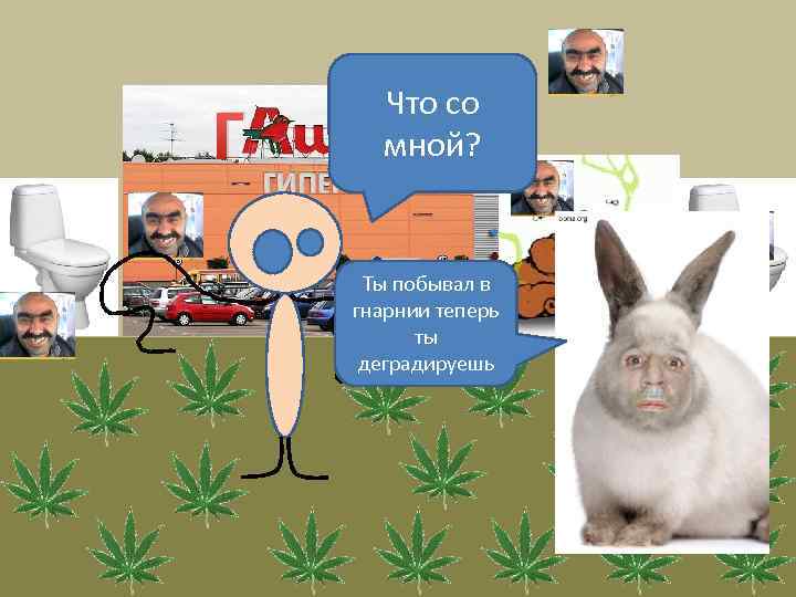 Г Что со мной? Ты побывал в гнарнии теперь ты деградируешь 