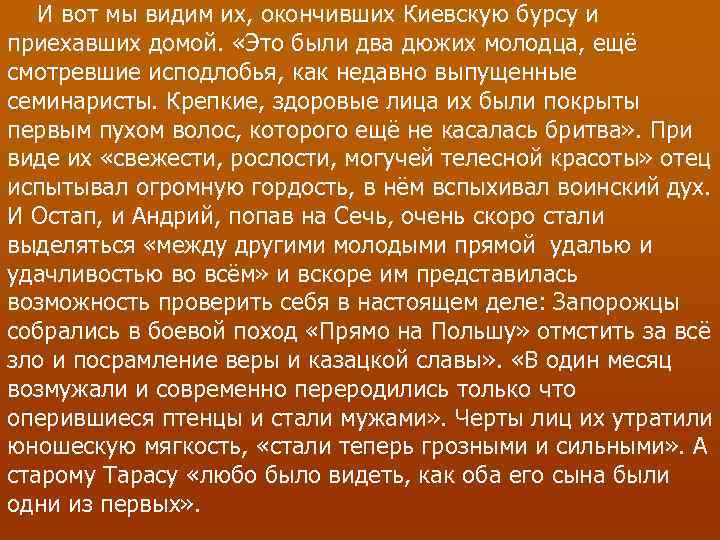 И вот мы видим их, окончивших Киевскую бурсу и приехавших домой. «Это были два