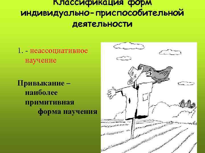 Классификация форм индивидуально-приспособительной деятельности 1. - неассоциативное научение Привыкание – наиболее примитивная форма научения
