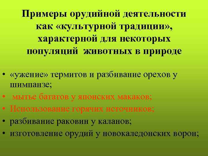 Примеры орудийной деятельности как «культурной традиции» , характерной для некоторых популяций животных в природе