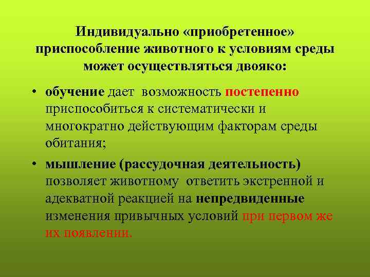 Индивидуально «приобретенное» приспособление животного к условиям среды может осуществляться двояко: • обучение дает возможность