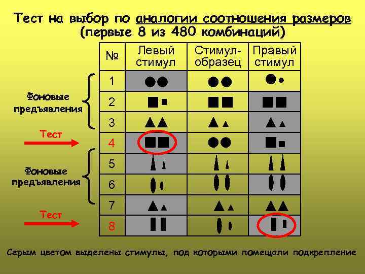 Тест на выбор по аналогии соотношения размеров (первые 8 из 480 комбинаций) № Левый
