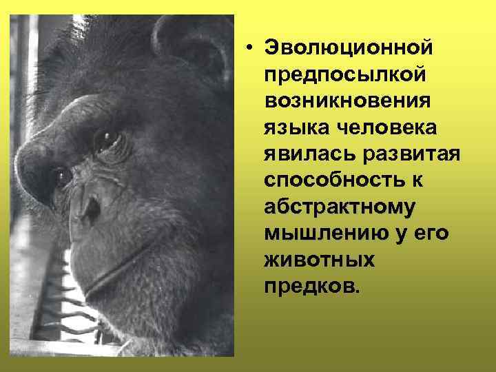  • Эволюционной предпосылкой возникновения языка человека явилась развитая способность к абстрактному мышлению у