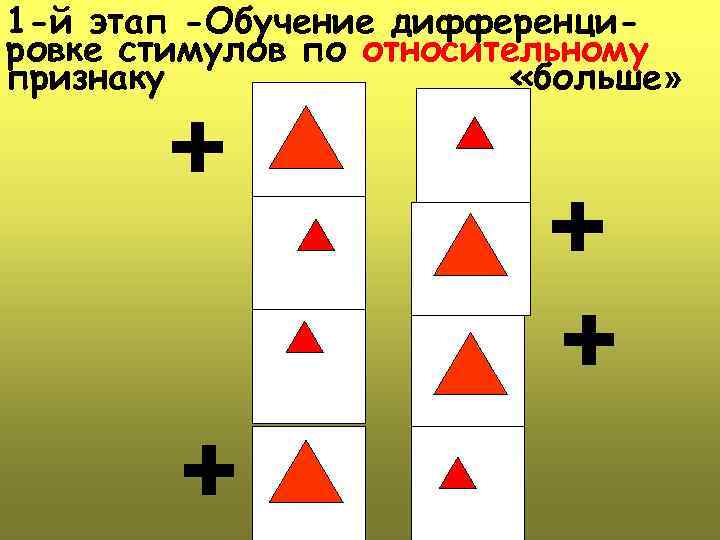 1 -й этап -Обучение дифференцировке стимулов по относительному признаку «больше» 