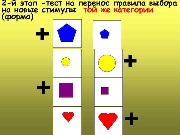 2 -й этап -тест на перенос правила выбора на новые стимулы той же категории