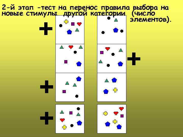 2 -й этап -тест на перенос правила выбора на новые стимулы другой категории (число