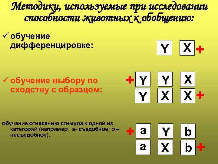 Методики, используемые при исследовании способности животных к обобщению: ü обучение дифференцировке: ü обучение выбору