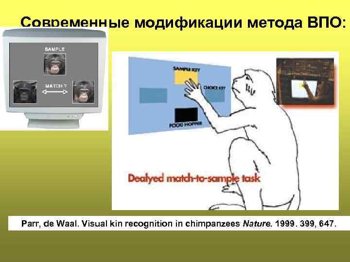 Современные модификации метода ВПО: Parr, de Waal. Visual kin recognition in chimpanzees Nature. 1999.