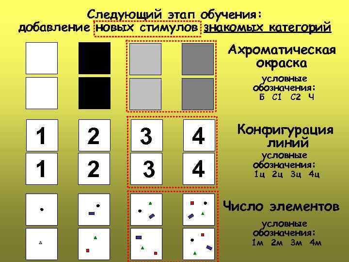 Следующий этап обучения: добавление новых стимулов знакомых категорий Ахроматическая окраска условные обозначения: Б С