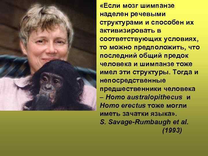  «Если мозг шимпанзе наделен речевыми структурами и способен их активизировать в соответствующих условиях,