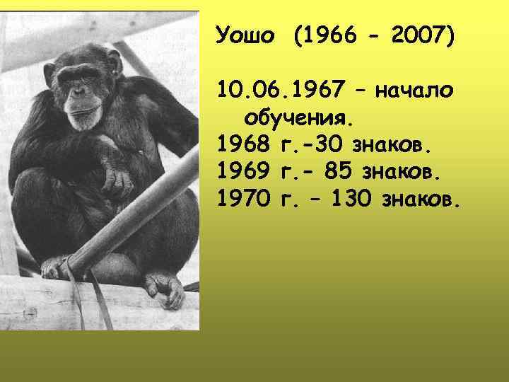 Уошо (1966 - 2007) 10. 06. 1967 – начало обучения. 1968 г. -30 знаков.