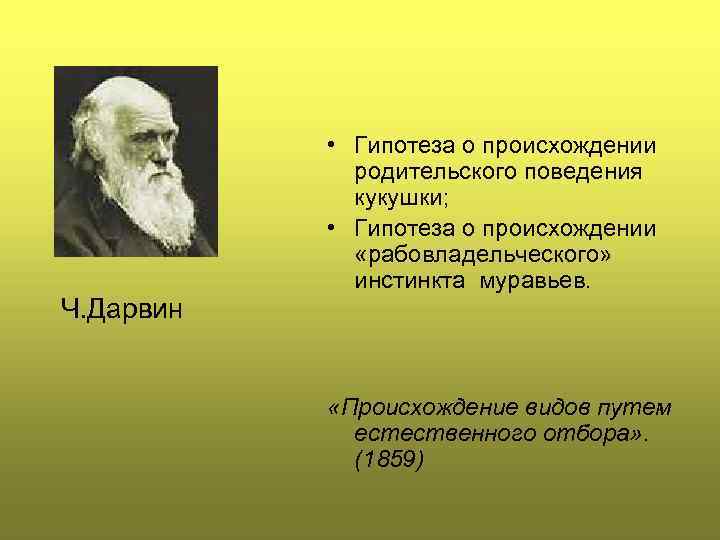 Ч. Дарвин • Гипотеза о происхождении родительского поведения кукушки; • Гипотеза о происхождении «рабовладельческого»