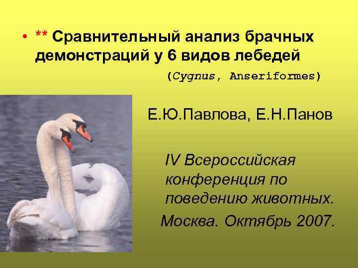  • ** Сравнительный анализ брачных демонстраций у 6 видов лебедей (Cygnus, Anseriformes) •