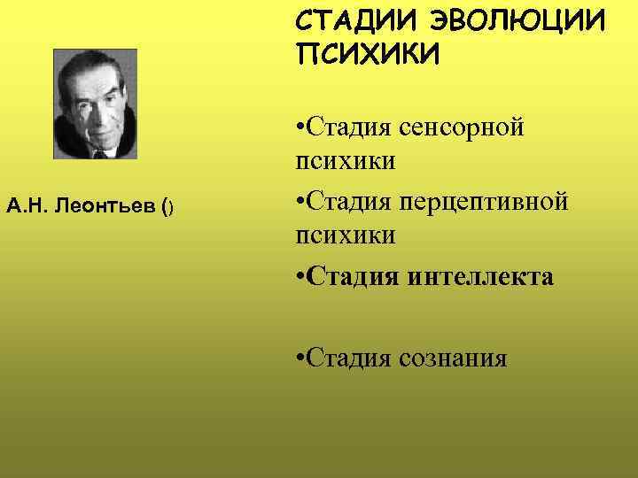 СТАДИИ ЭВОЛЮЦИИ ПСИХИКИ А. Н. Леонтьев () • Стадия сенсорной психики • Стадия перцептивной