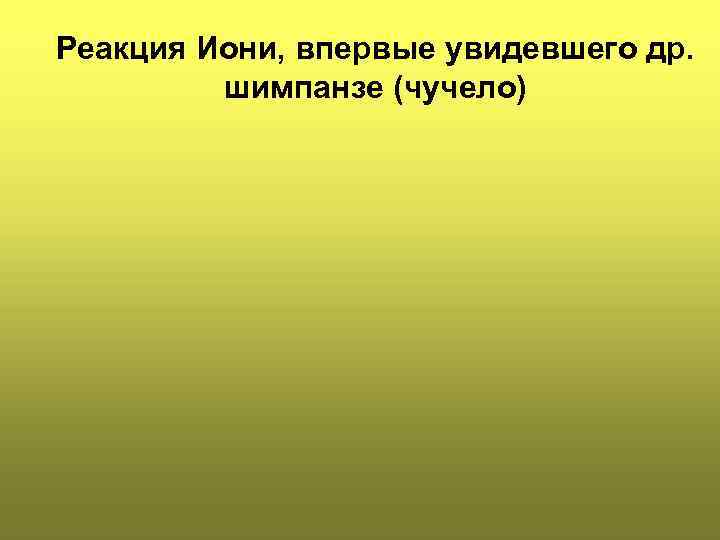 Реакция Иони, впервые увидевшего др. шимпанзе (чучело) 