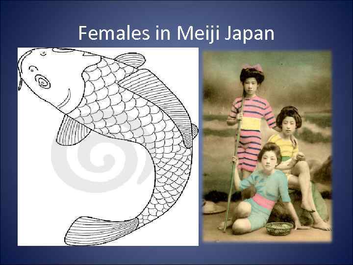Females in Meiji Japan • The Meiji Renovation removed females from government roles and