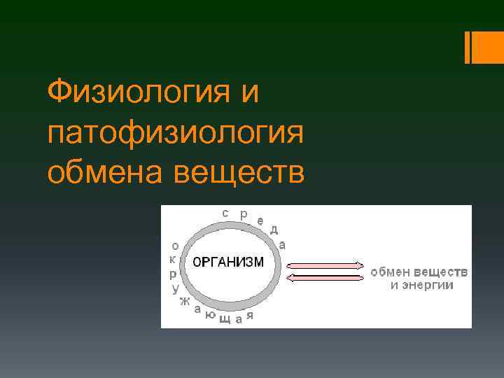 Физиология и патофизиология обмена веществ 