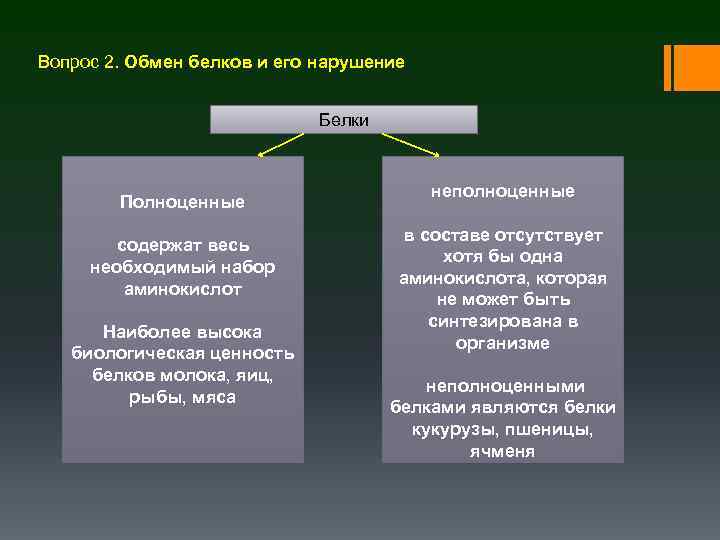 Вопрос 2. Обмен белков и его нарушение Белки Полноценные содержат весь необходимый набор аминокислот