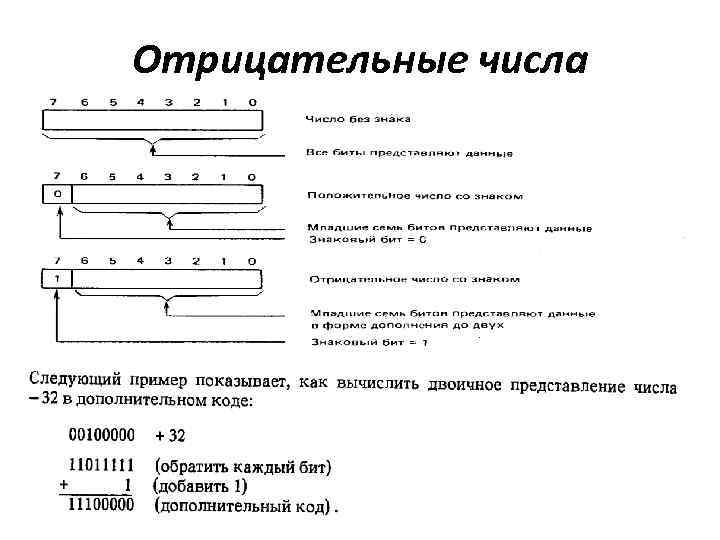 Отрицательные числа 