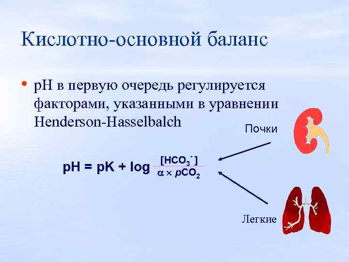 Кислотно основной баланс • p. Н в первую очередь регулируется факторами, указанными в уравнении