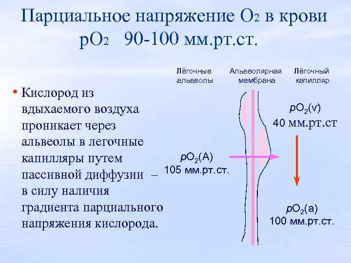 Парциальное давление кислорода